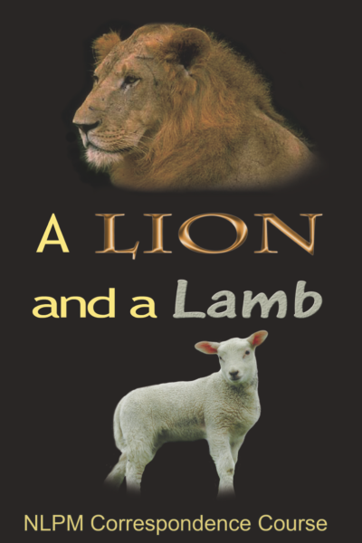 08-Lion and a Lamb